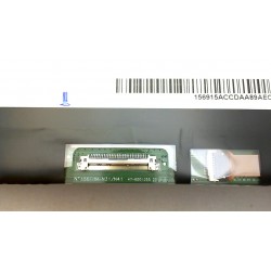 KL.1560E.006 nt156fhm-n41